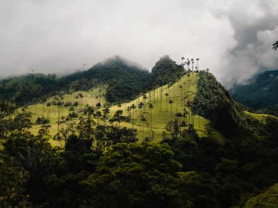 Colombie - Cocora